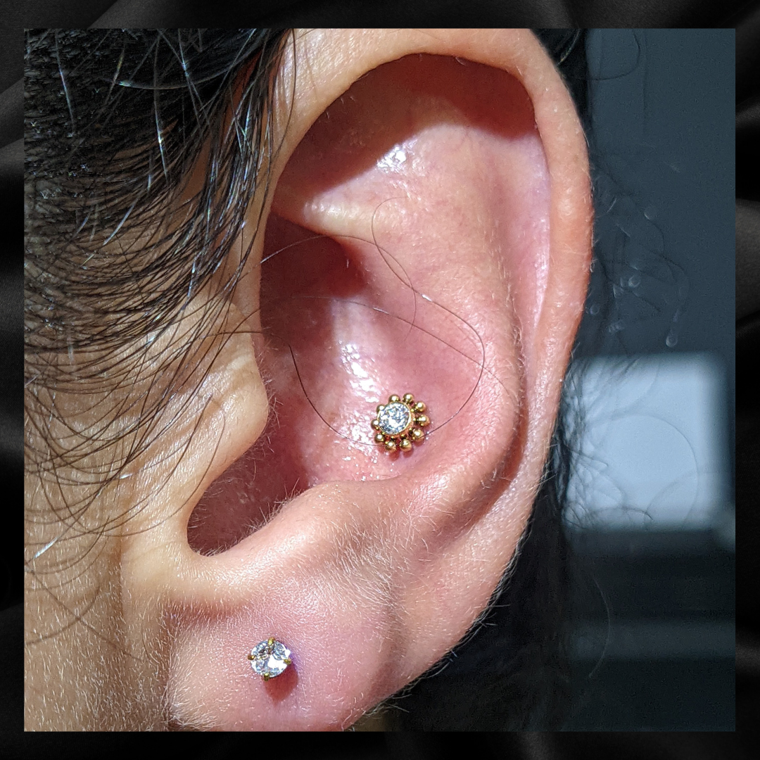 conch