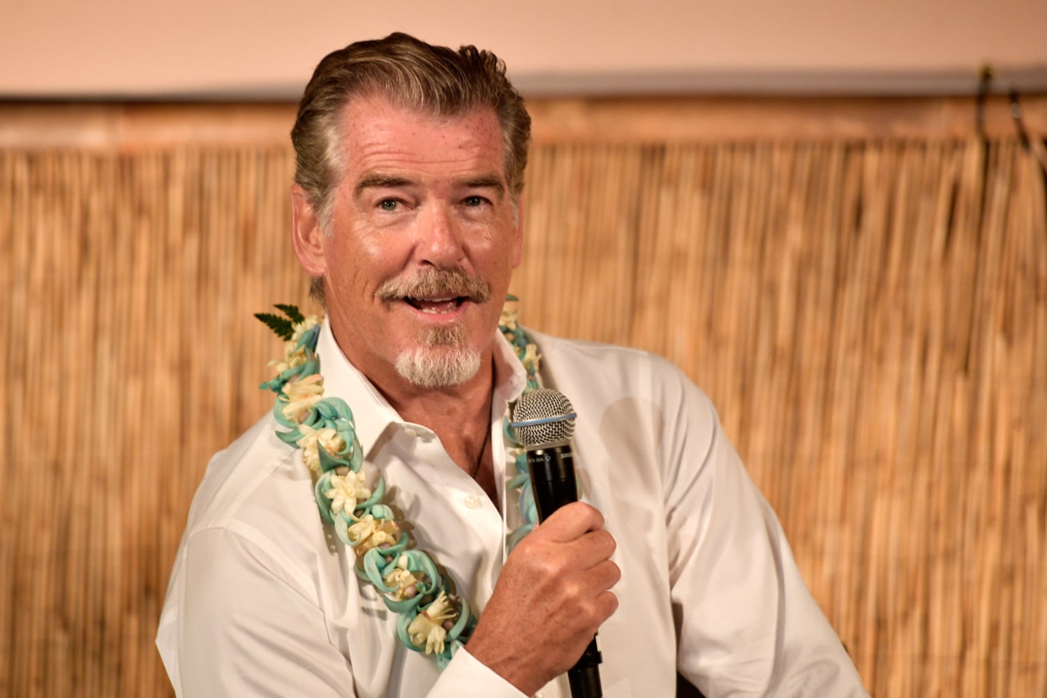 2017 Maui Film Festival At Wailea - Day 3 by Matt Winkelmeyer / Getty Images Entertainment pierce brosnan photo