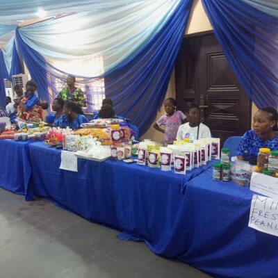 Blind Women Entrepreneurs Damn Government Oversight, Stereotypes, Illuminate Lagos' Economic Landscape