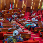 Nigeria’s Proposed Quotas for Women and Persons with Disabilities Deserve more than Reserved Seats