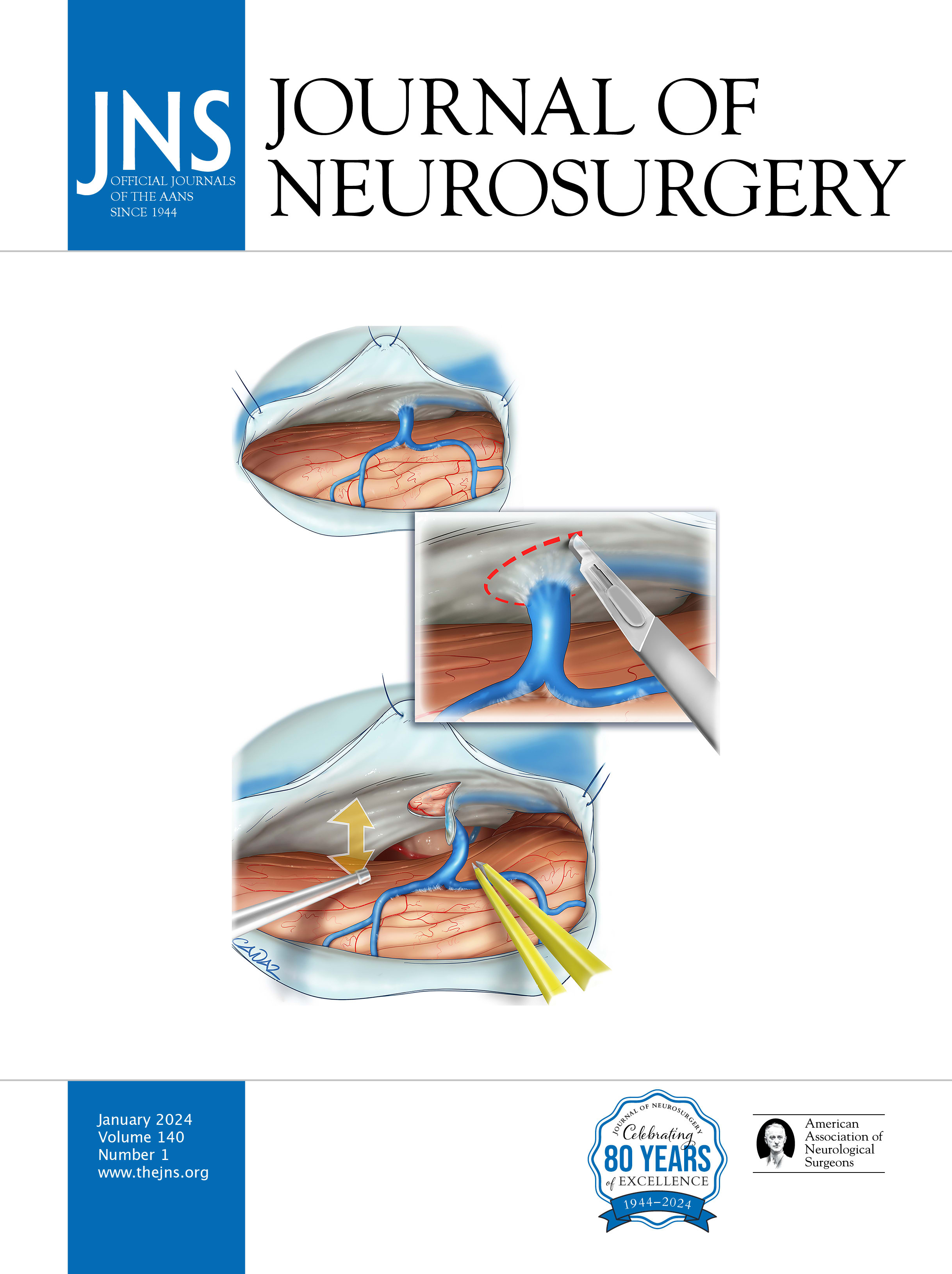 新 NS NOW Neurosurgical ReOperations Home - Neurosurgery CNJ