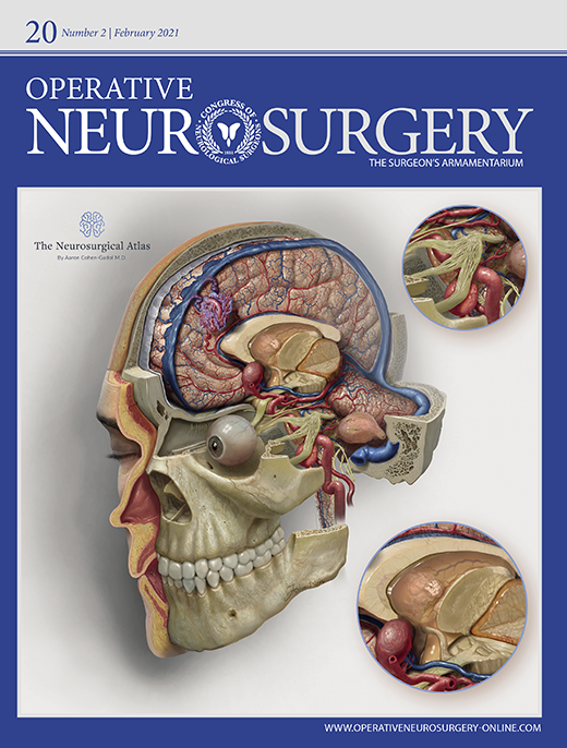 Operative Neurosurgical Anatomy