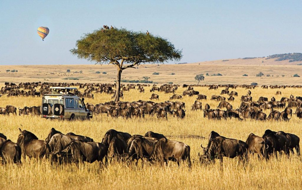 Ultimate Uganda Safari