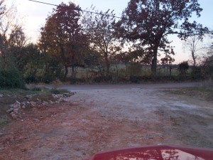 The driveway even got some much needed smoothing by way of a load of gravel.