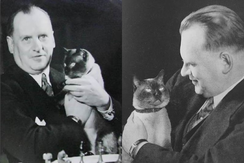 Похожее изображение