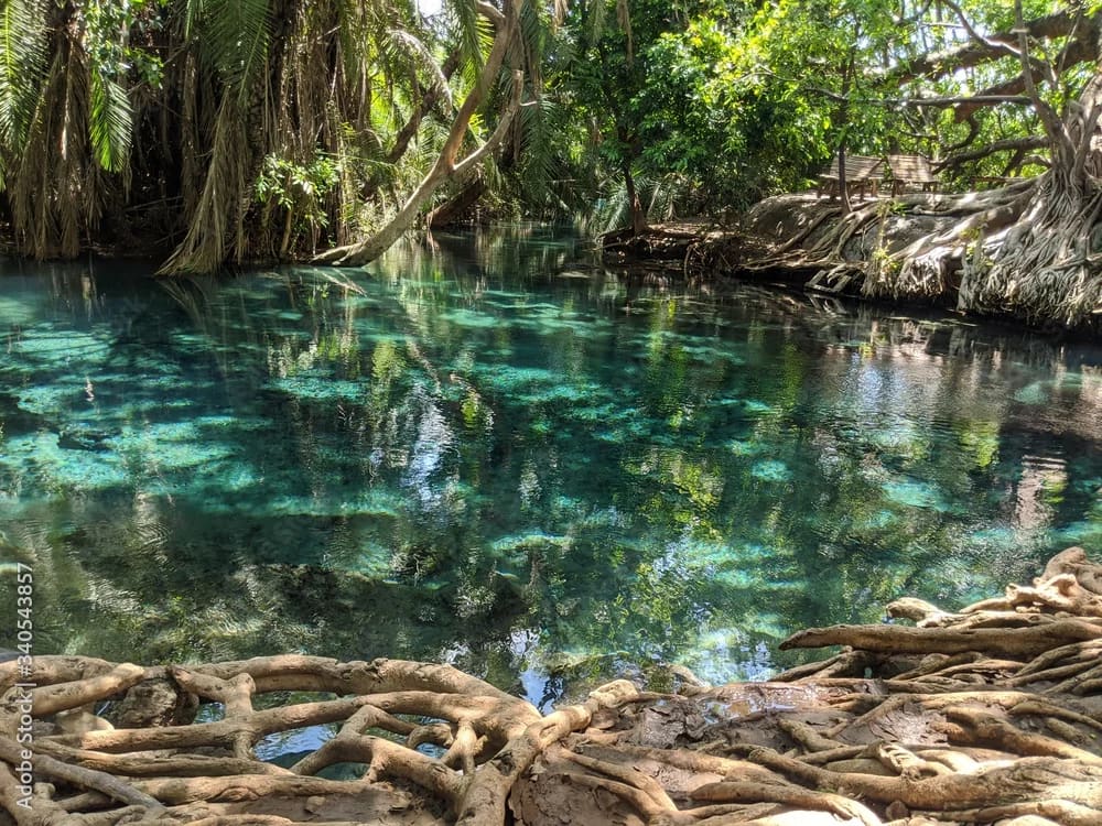 Crystal-clear turquoise Chemka Hot Springs surrounded by tropical greenery and swimmers