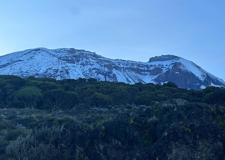 Hikers on Machame Route surrounded by rainforest and Kilimanjaro views