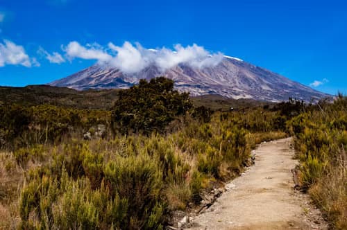 Trekkers exploring Kilimanjaro’s northern slopes through forest and moorlands on the Rongai Route