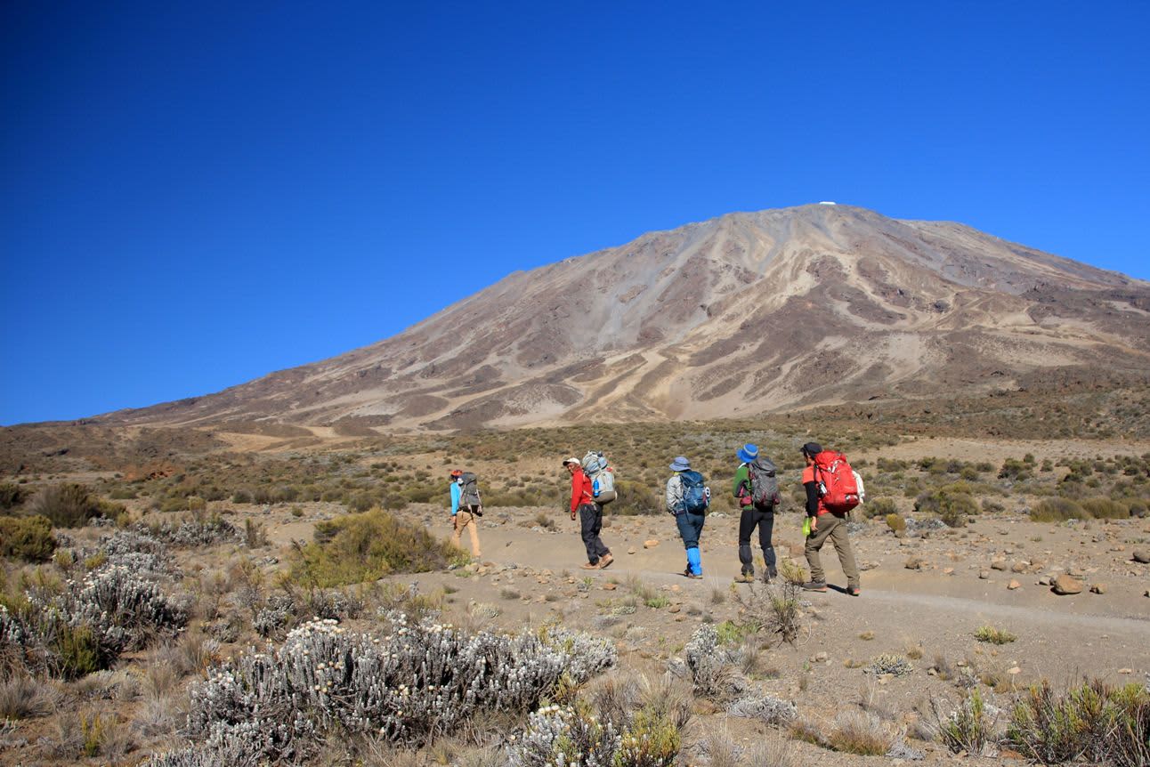 Campers enjoying panoramic sunrise over Kilimanjaro peaks along the northern Rongai Route