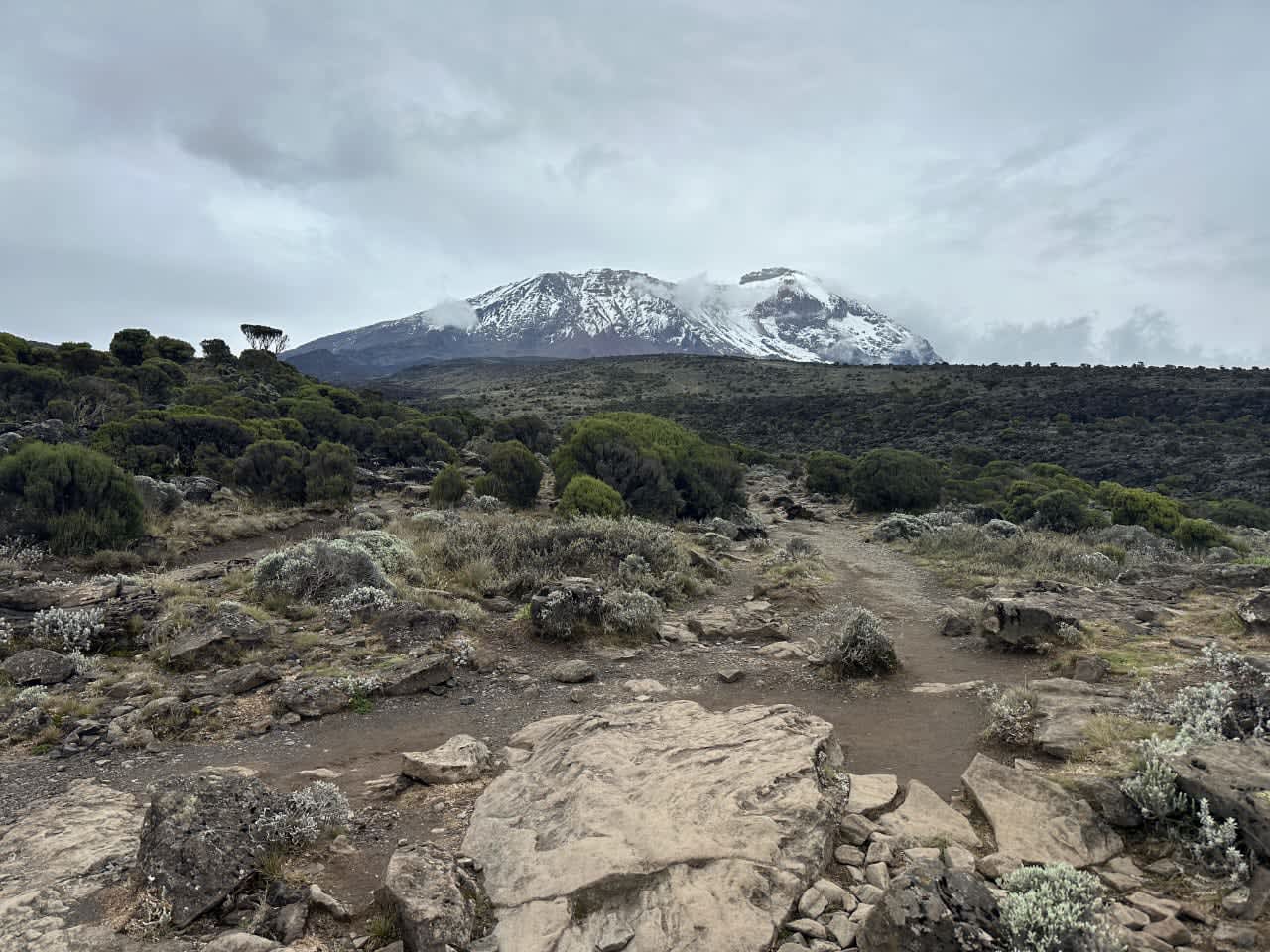 Trekking group enjoying scenic northern Kilimanjaro landscapes with mountain peaks and glaciers