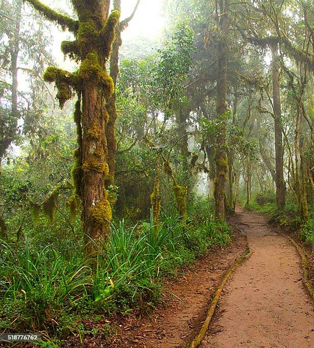 Climbers on machame route 6 days