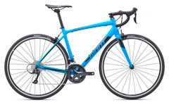 Giant Contend 1