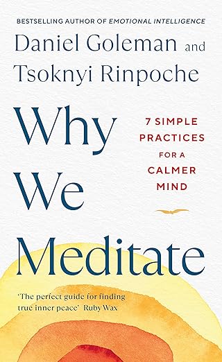 Why We Meditate