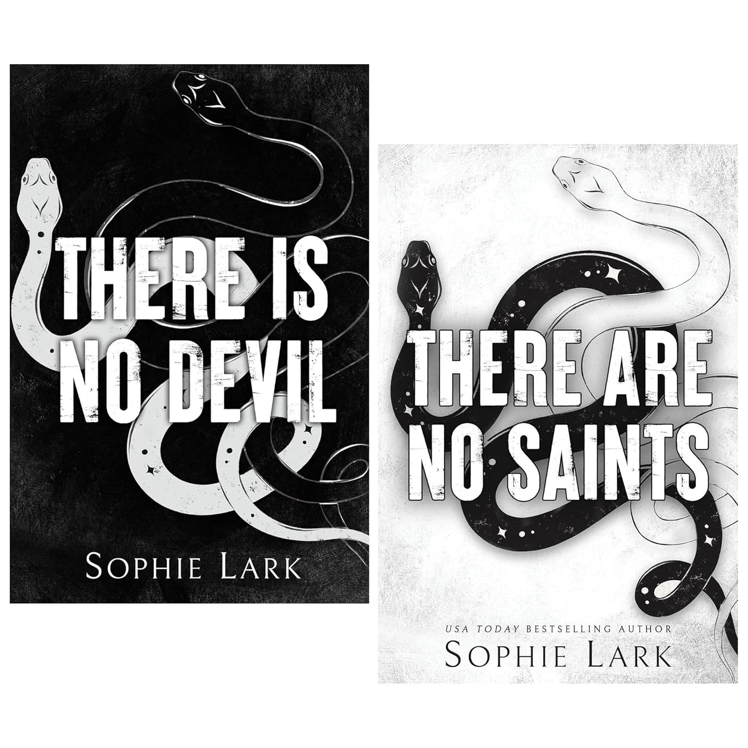http://res.cloudinary.com/duextohtw/image/upload/v1761658274/ssng-production/products/sophie_lark_sinners_duet_there_are_no_saints_there_is_no_devil_set_romance_1761658274.jpg.jpg