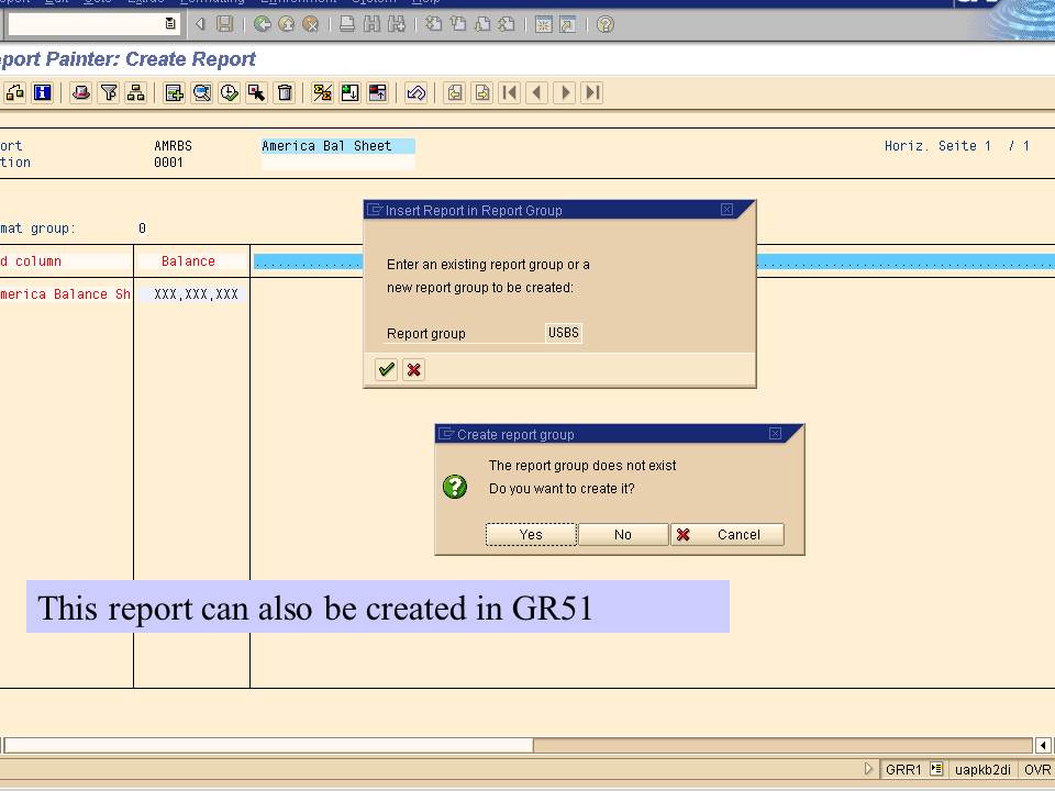 SAP Report Painter Tutorial