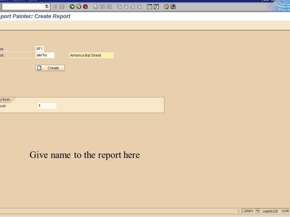 SAP Report Painter Tutorial