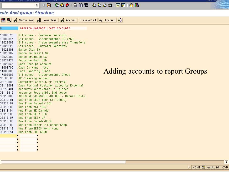SAP Report Painter Tutorial
