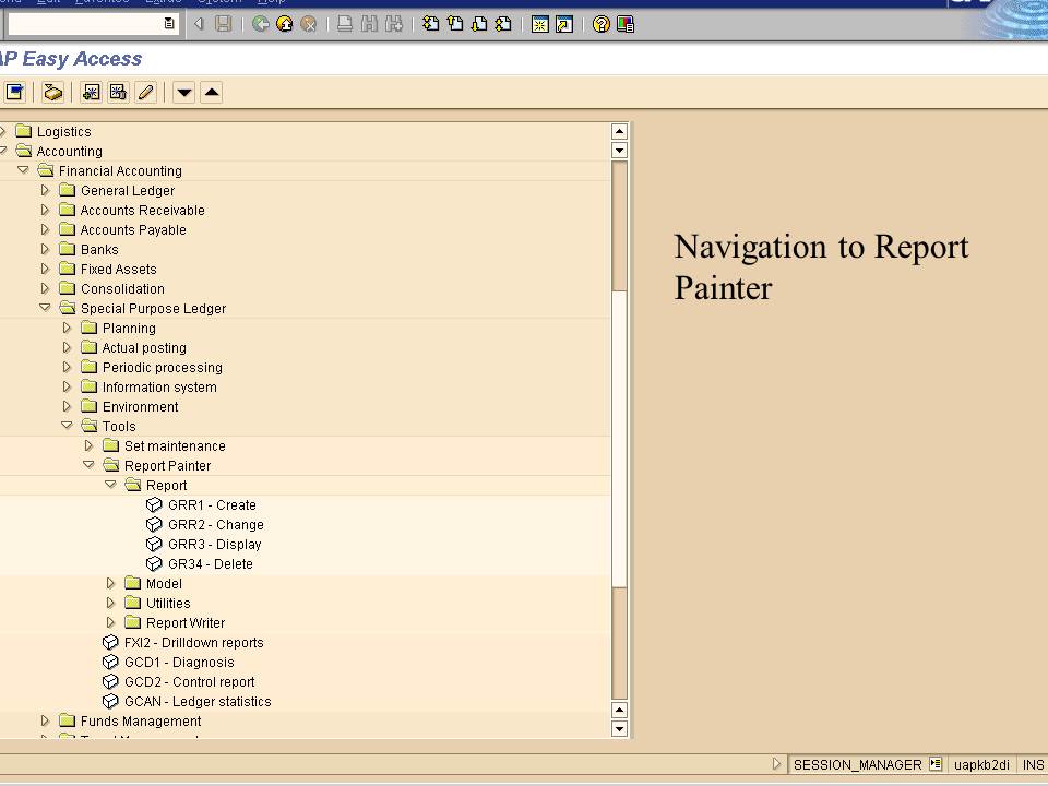 SAP Report Painter Tutorial
