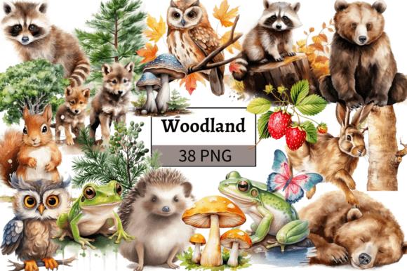 Watercolor Woodland Animals Clipart Collection