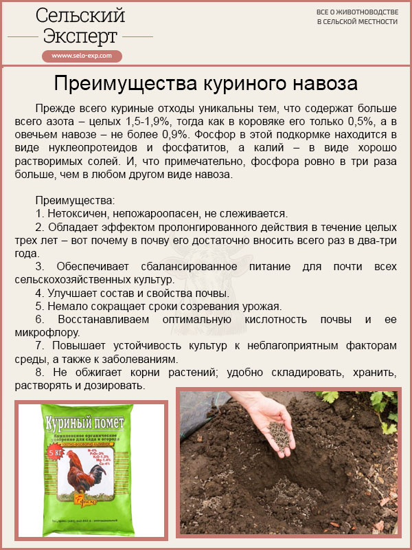 Преимущества куриного навоза