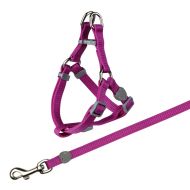 Lesa si ham pentru pisici Trixie 26-37 cm