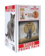 Kit hrana uscata pentru pisici Royal Canin British Shorthair Adult 2 kg + 6 plicuri x 85 g CADOU