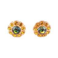 Cercei Audrey placati cu aur 24K | 1131-1021RG2