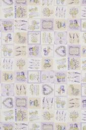 LAVANDA