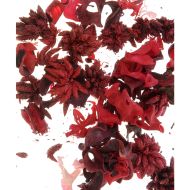 Plante decorative parfumate, passion