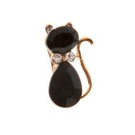 Brosa, pisica neagra