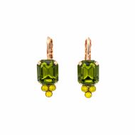 Cercei Kokomo placati cu aur 24K | 1009-1058RG6