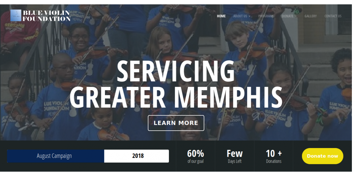 The Blue Violin Foundation