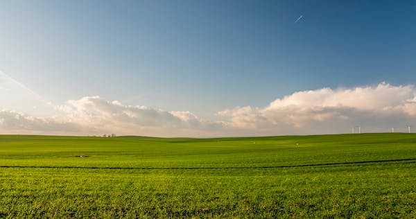 A green field with blue sky
