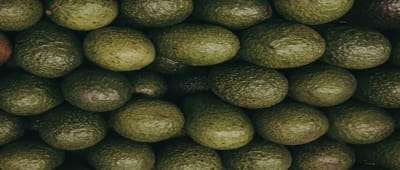 Aguacates Macmo, S.P.R.R.L.C.V. background image