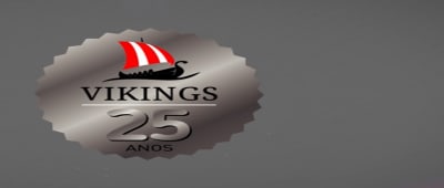 Vikings Sistemas de Limpeza Ltda background image