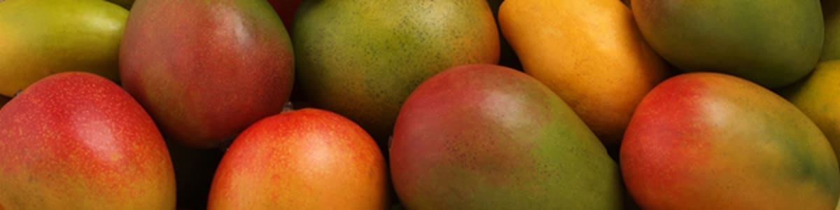 Mangos y Hortalizas, S.P.R.R.L.C.V. background image