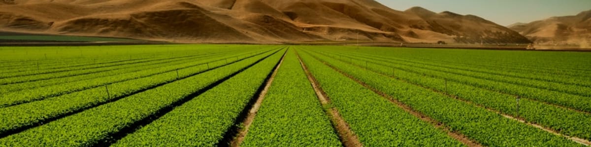 Athenagro Consultoria Ltda background image