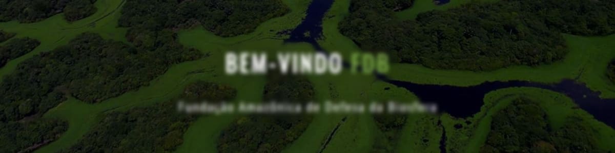 Fundacao Amazonica de Defesa da Biosfera background image