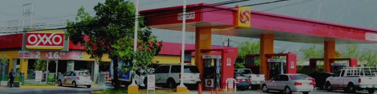 Servicios Gasolineros de México, S.A. de C.V. background image