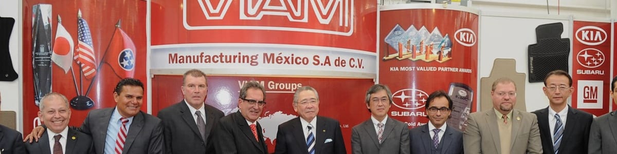 VIAM Manufacturing México, S.A. de C.V. background image