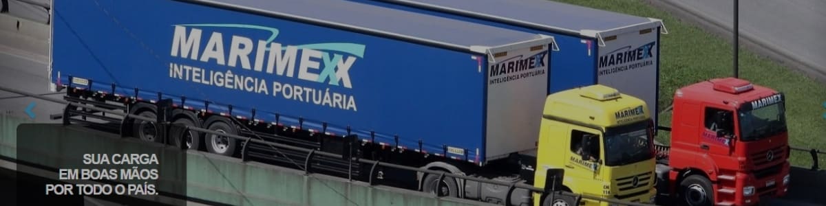 Marimex Despachos Transportes e Servicos Ltda background image