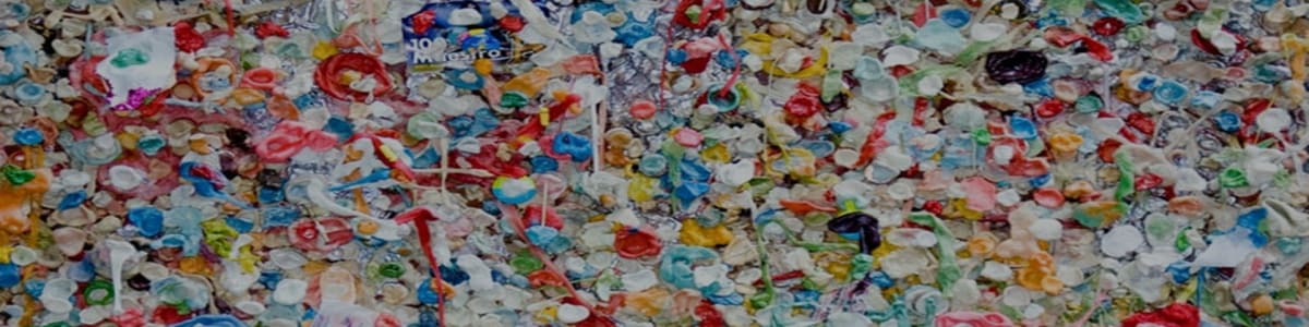 Imagen de fondo de Reciclados Ecológicos Diversos, S.A. de C.V.