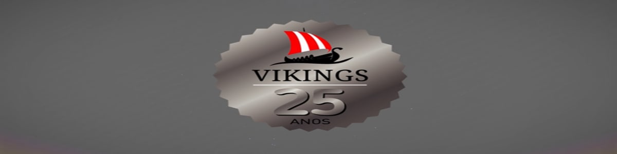 Vikings Sistemas de Limpeza Ltda background image