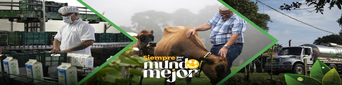 Imagen de fondo de Cooperativa de Productores de Leche Dos Pinos R.L.