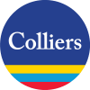 Colliers Rems México, S.A. de C.V. logo