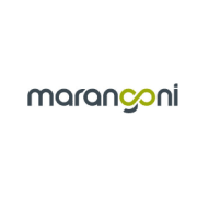 Logotipo de Industria Eletrica Marangoni Maretti Ltda