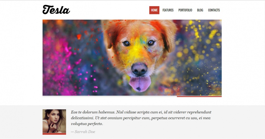 Wordpress шаблоны: 30 Wordpress шаблонов портфолио фотографа