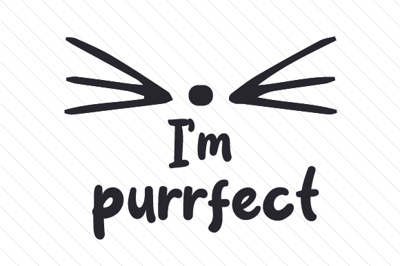 Purrfect cat coloring design with whiskers and typography