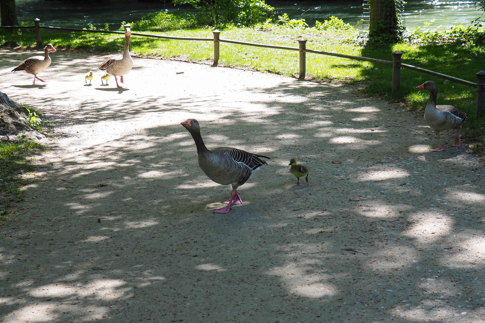 Munich travel photos