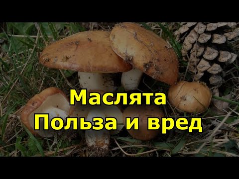 Анна Хилькевич рассказала о домогательствах коллег